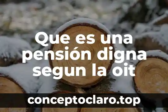 Que es una pensión digna segun la oit