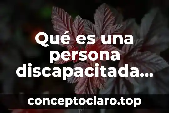 Qué es una persona discapacitada concepto
