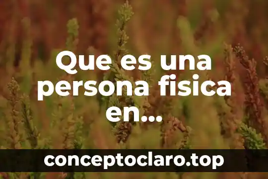 Que es una persona fisica en emprendedores