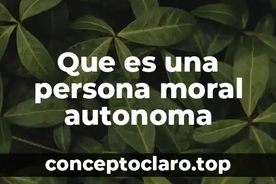 Que es una persona moral autonoma