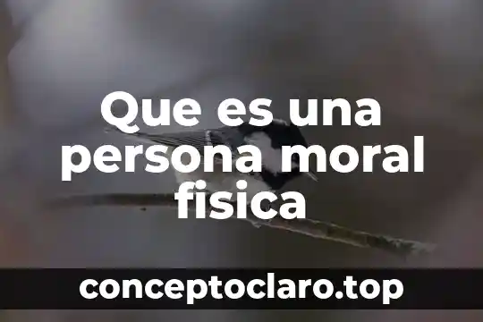Que es una persona moral fisica