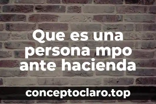 Que es una persona mpo ante hacienda