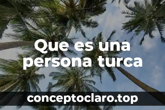 Que es una persona turca