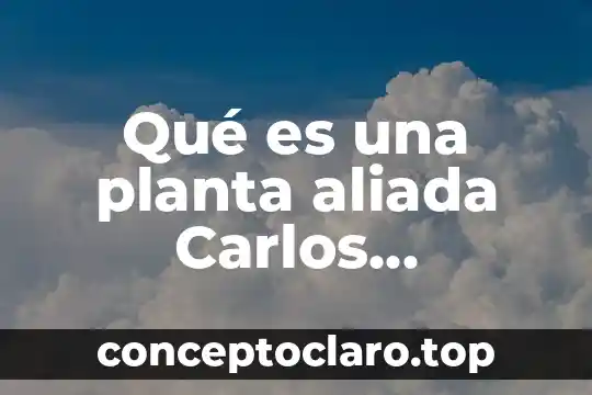 Qué es una planta aliada Carlos Castaneda