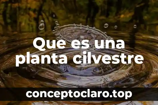 Qué es una planta híbrida 5 Que es una planta cilvestre