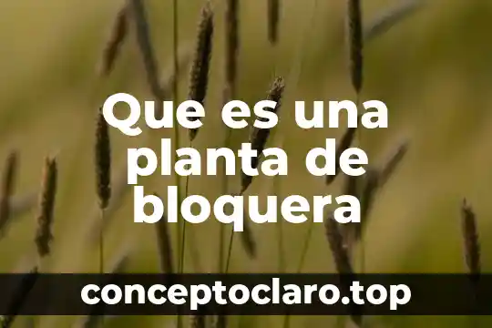 Que es una planta de bloquera