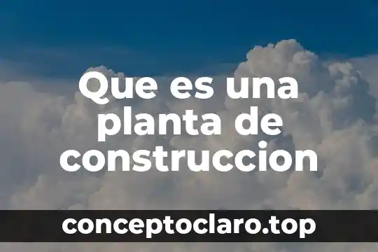 Que es la planta liberiana 6 Que es una planta de construccion