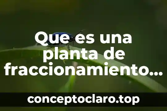 Que es una planta de fraccionamiento de gas