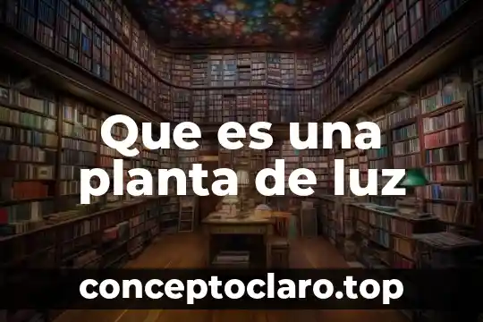 Que es una planta de luz