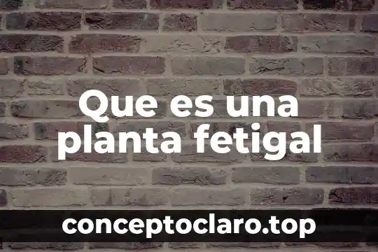 Que es el tejido dermico de una planta 6 Que es una planta fetigal