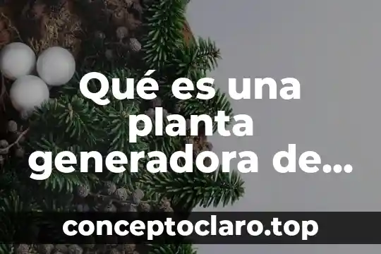 Qué es una planta generadora de emergencia