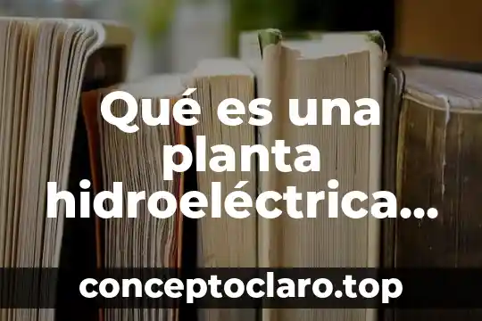 Qué es un layout de una planta 7 Qué es una planta hidroeléctrica libros