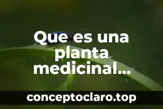 Que es la planta liston 7 Que es una planta medicinal antimicrobiana y anestesia local
