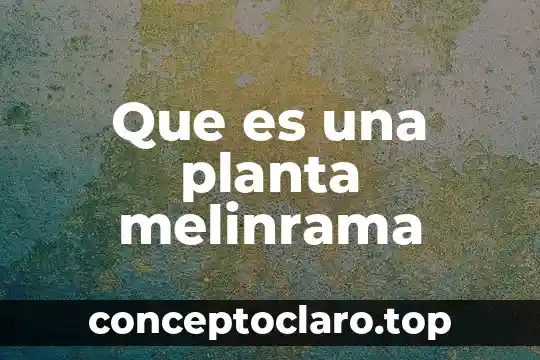 Que es la planta liston 6 Que es una planta melinrama