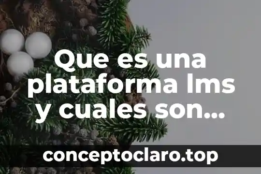 Que es una plataforma lms y cuales son sus caracteristicas