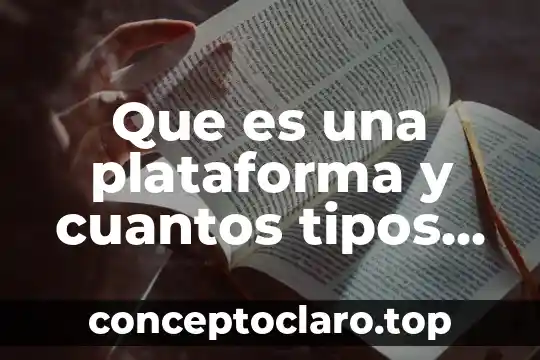 Que es una plataforma y cuantos tipos hay
