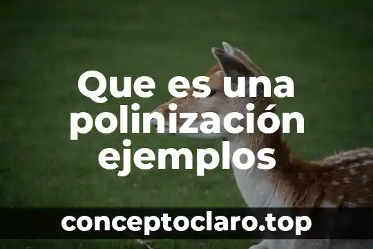 Que es una polinización ejemplos