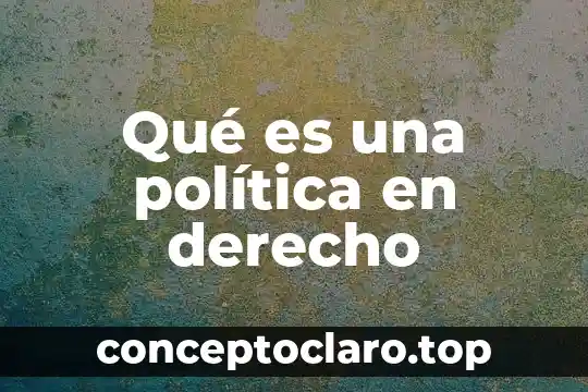 Que es la representación politica 8 Qué es una política en derecho