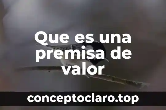 Que es una premisa de valor