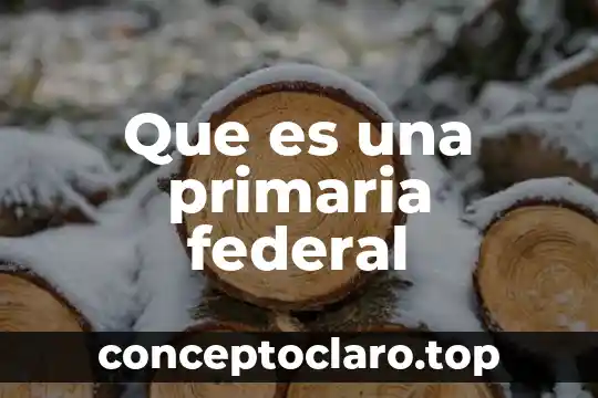 Que es una primaria federal