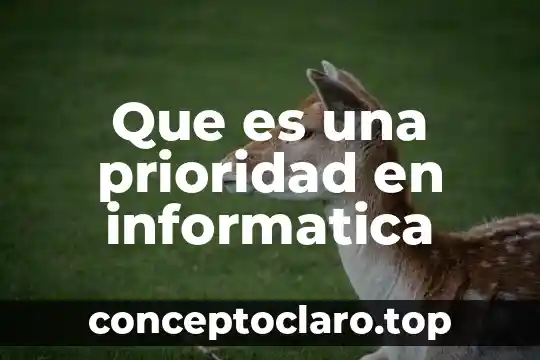 Que es tipos de investigacion cuantitativa 7 Que es una prioridad en informatica