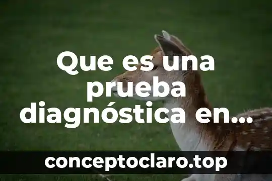 Prueba din en 63 español latino que es 4 Que es una prueba diagnóstica en medicina