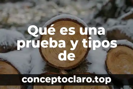 Qué es una prueba y tipos de