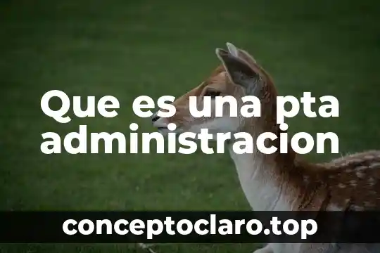 Que significa o que es un slave en informatica 3 Que es una pta administracion