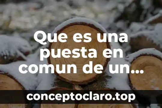 Que es una puesta en comun de un tema