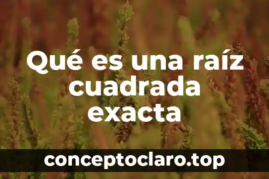 Qué es una raíz cuadrada exacta