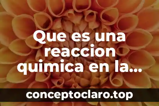Que es una reaccion quimica en la dijestion
