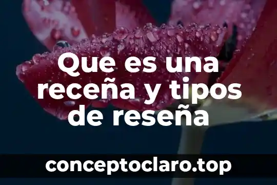 Que es una receña y tipos de reseña