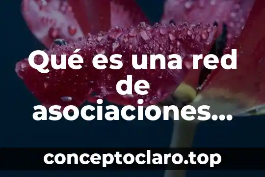 Que es lo que hay dentro del sol 6 Qué es una red de asociaciones civiles hay en México