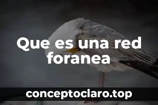 Que es una red foranea