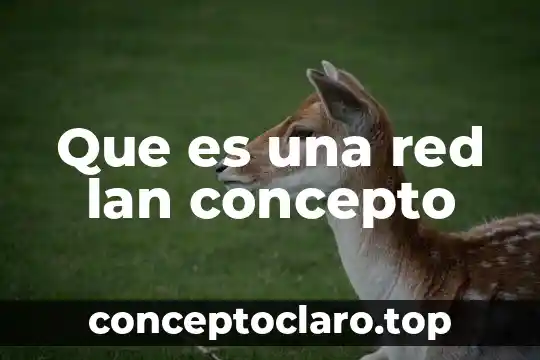 Que es una red lan concepto