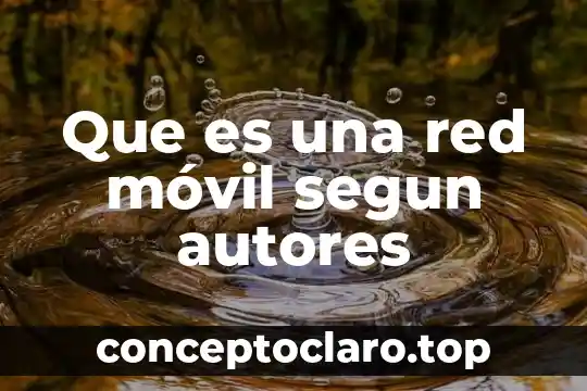 Que es la realidad segun el transcendentalismo 3 Que es una red móvil segun autores