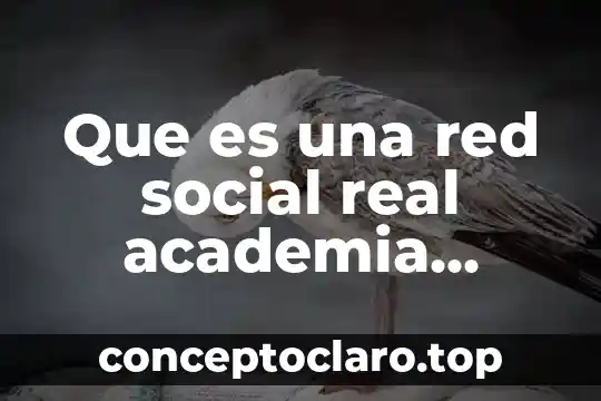 Que es acción real academia española 6 Que es una red social real academia española