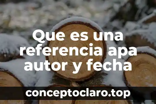 Que es una referencia apa autor y fecha