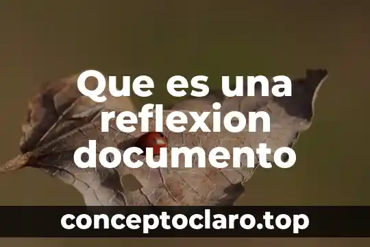 Qué es el número de documento único de identidad 5 Que es una reflexion documento