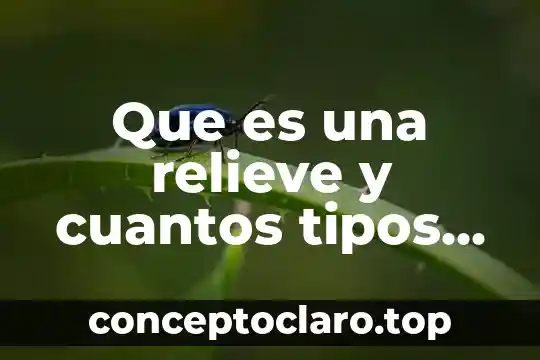 Que es una relieve y cuantos tipos hay