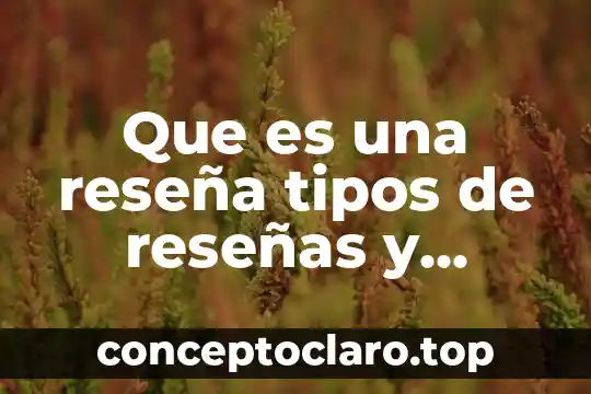 Que es una reseña tipos de reseñas y caracteristicas
