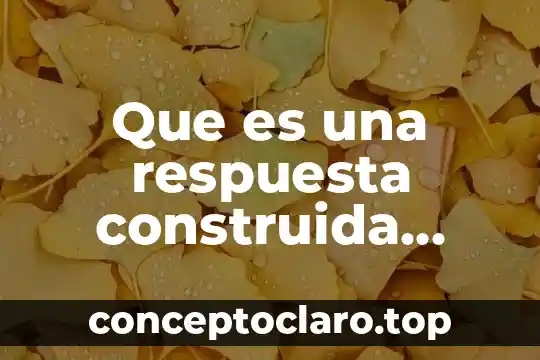 Que es una respuesta construida definicion