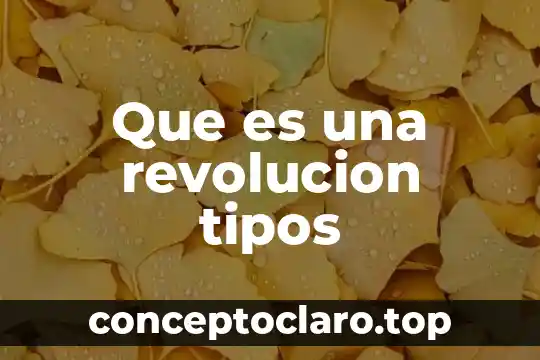 Que es una revolucion tipos