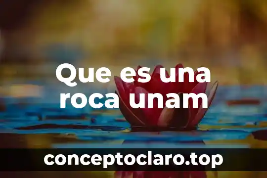 Que es cultuira concepto de la unam 5 Que es una roca unam