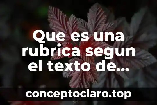 Que es una rubrica segun el texto de ravela