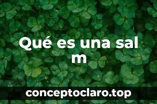 Qué es una sal m