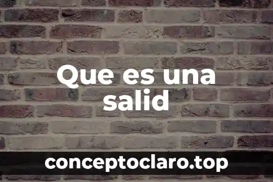 Que es una salid