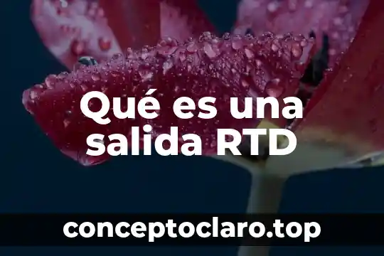 Innovaciones técnicas en periféricos de entrada y salida que es 5 Qué es una salida RTD