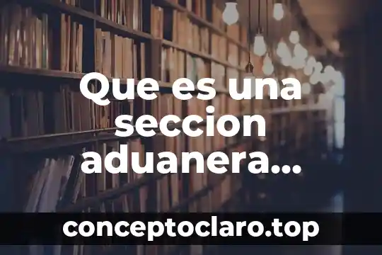 Que es una seccion aduanera definicion