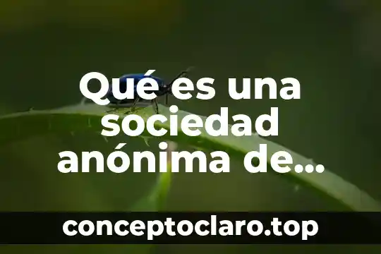 Sociedad anónima por qué es útil 7 Qué es una sociedad anónima de capital variable y